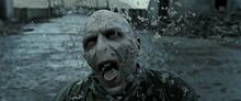 Bellatrix - Crash Bellatrix - Crash
