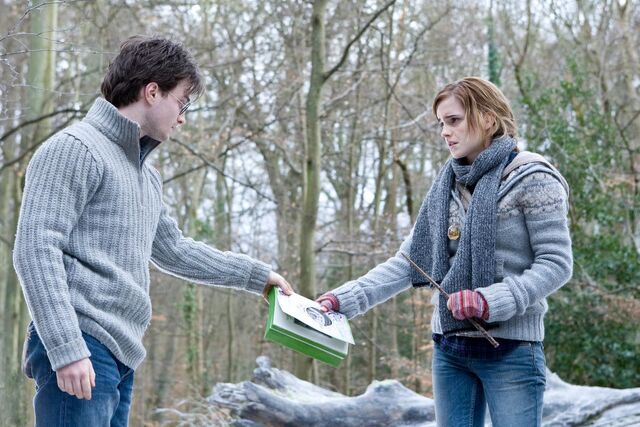 File:Hermione and Harry.jpg