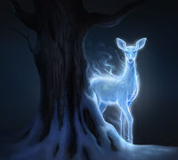 Biche argentée.jpg