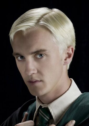 Bestand:HP draco.jpg