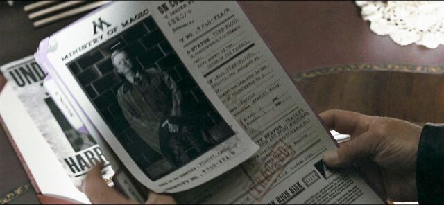 File:Harry-potter-deathly-hallows1-movie-screencaps.com-6620.jpg