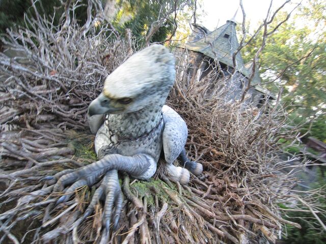 File:Buckbeak.jpg