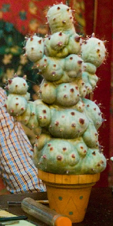 Gufsulus Gufsletonia.png