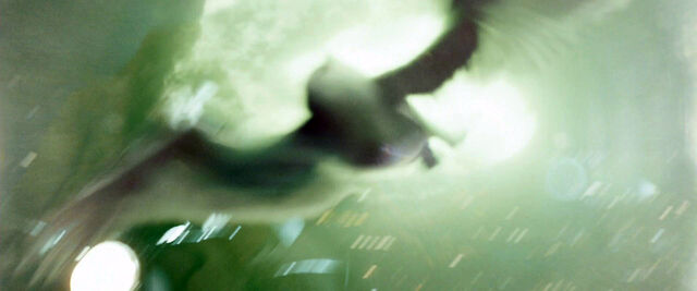 File:DH1 The Death of Hedwig.jpg