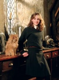 275px-Hermione poa.jpg