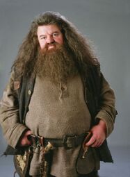 HAGRID RUBEUS HAGRID.jpg