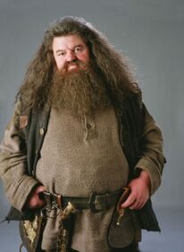 HAGRID RUBEUS HAGRID.jpg