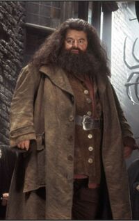 Hagrid dmbeldore.jpg