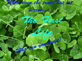 Thumbnail for version as of 15:40, June 23, 2010