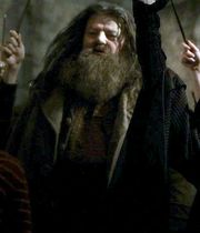 Hagrid12.jpg