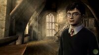 Harry Potter.jpg