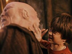 Harry-1-.jpg