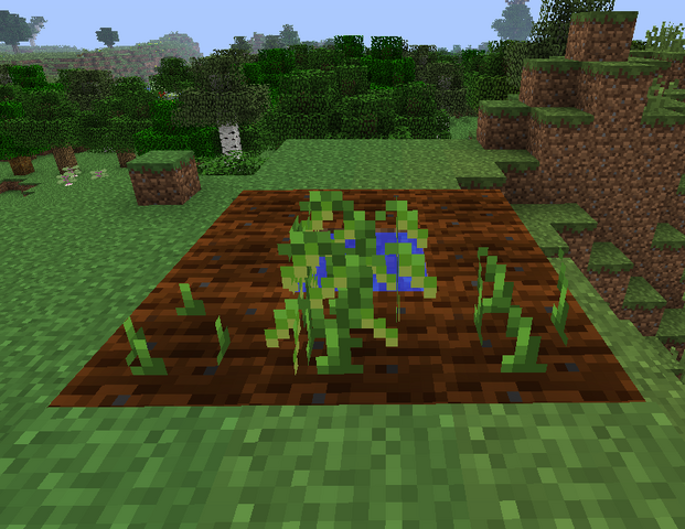 File:Peas Growth.png