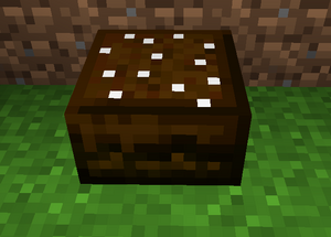 Placed Lamington