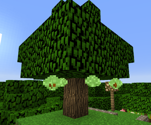 Chestnut Tree