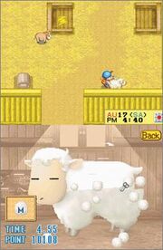 Harvest-moon-nds-1-.jpg