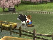 Harvest-moon-a-wonderful-life.1070490-1-