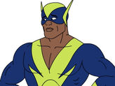 BlackVulcan