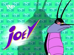 Joey 2