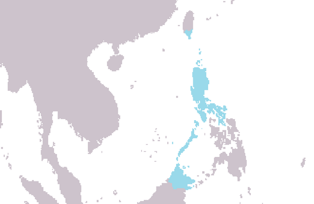 Datei:Wikia-Visualization-Add-1,dealthis.png