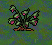 Candleberry