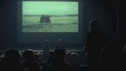Cinematheque