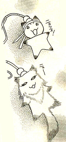 File:Cat.jpg