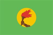 Zaire's flag