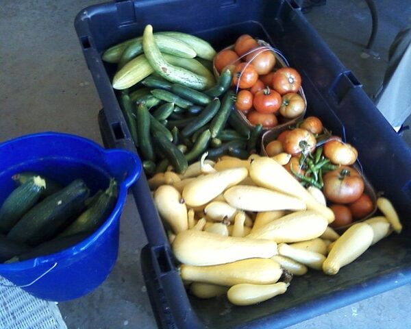 File:Veggies.jpg