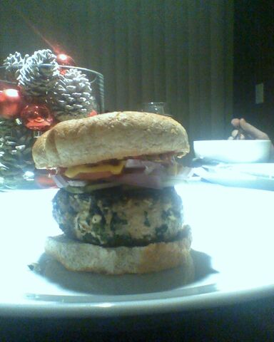 File:Turkey Burger 3.jpg