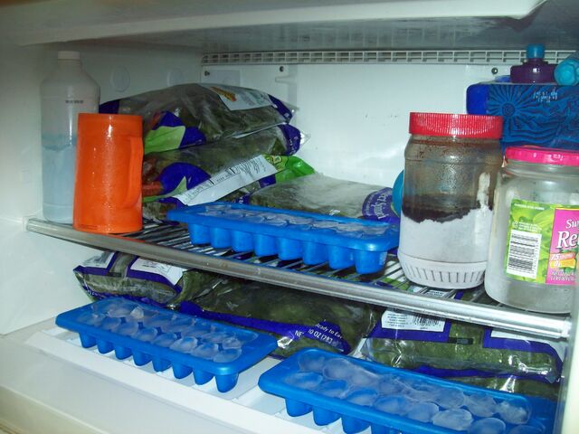 File:Freezer-juicer 018.jpg