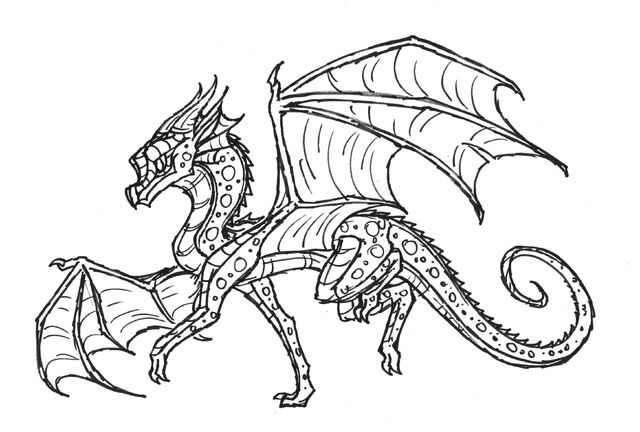 File:RainWingdragon.jpeg