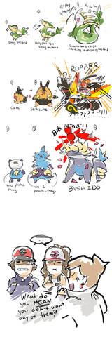 File:Choosing the starter.png
