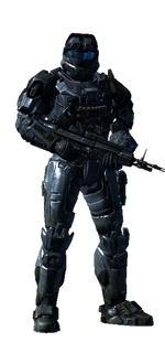 Raynor