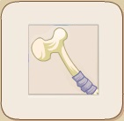 Bone