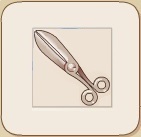 Scissors