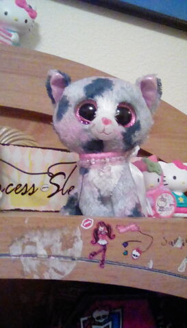 File:IMG 20170209 210244.jpg