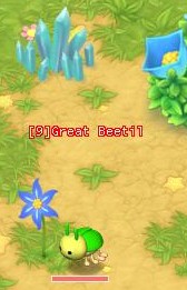 File:HKO a Great Beetil0156.jpg