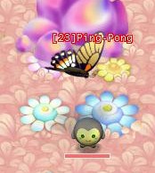 File:HKO a Ping Pong0016.jpg