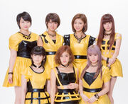 Berryzkobvol2
