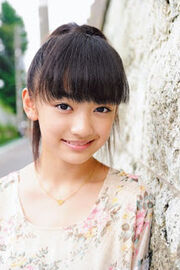 Shimomura-Miki2011