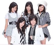 Groupe Shock-9a398.jpg