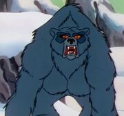 Polar Beast