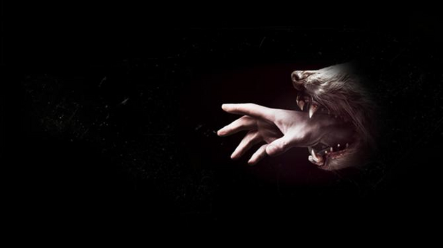 File:Wikia-Visualization-Main,hemlockgrove.png