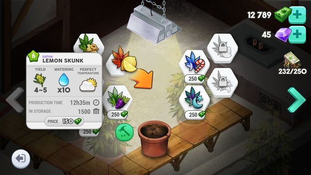 File:Preview plantinfo.jpg
