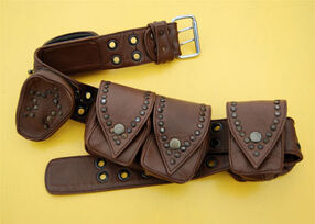 Belt-with-pockets
