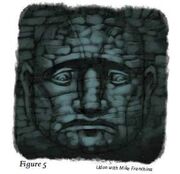 Face 5