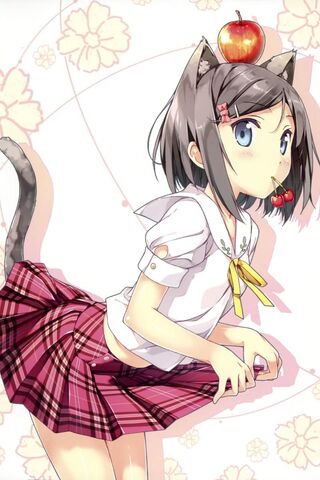 File:TsukikoCat.jpg