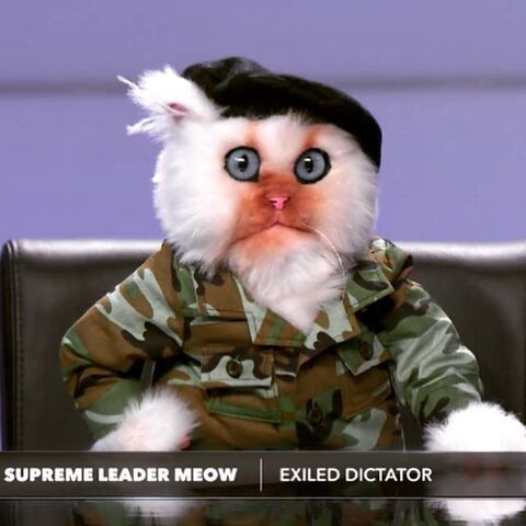 File:Supreme Leader Meow.jpg