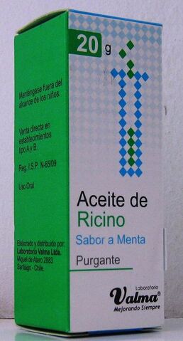 Archivo:Ricinus 01.jpg